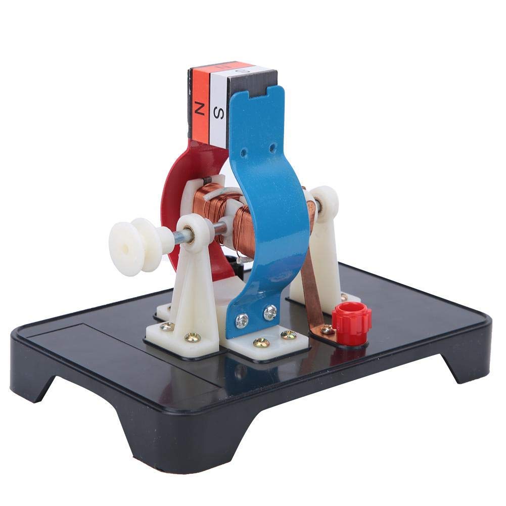 Fafeicy Physics Educational Kit Model Motor for Students STEM Learning DIY Electric Motor Science Experiment Kit Educational Institution Teaching Tool