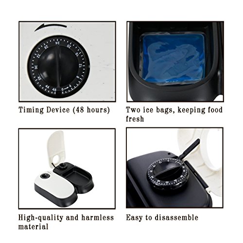 Outlet Cusfull Automatic Pet Feeder Pet Feeding Bowl For Dog And