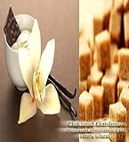 WARM VANILLA SUGAR Fragrance Oil - Rich warm vanilla sugar scent with a touch of sandalwood and coconut - By Oakland Gardens