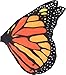 Kangaroo Butterfly Wings - Adult