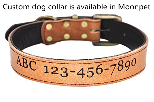 moonpet dog collars