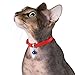 CollarDirect Leather Cat Collar, Cat Safety Collar with Elastic Strap, Kitten Collar with Bell Black Blue Red Orange Lime Green (8-11 Inch, Yellow)