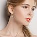 WOSTU Crystal Drop Earrings Sterling Silver CZ Queen Bee Dangle Earrings Hypoallergenic Fashion Earrings