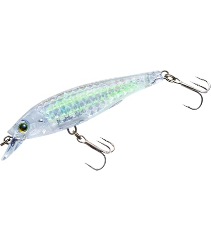 Amazon.com : Yo-Zuri R1441-FT: 3Dr-X Crank Mr (Mid Runner) (F