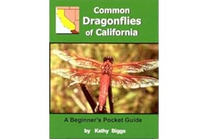 Common Dragon Flies of California: A Beginner's Pocket Guide
