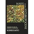 Marx in the Anthropocene
