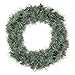 Northlight Canadian Pine Mini Artificial Christmas Wreath - 12