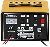 Anesty Car Battery Charger 12V/24V 20A Heavy Duty Lead-Acid Battery Charger view 2