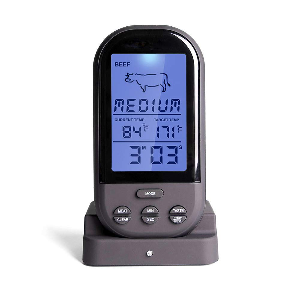 Which Is The Best Salter Oven Thermometer