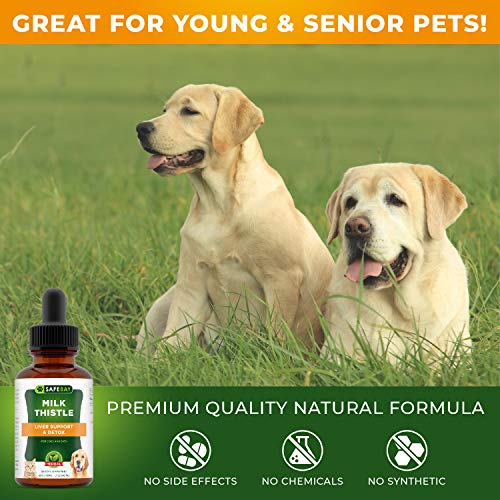 Dog Supplement and Cat Supplement Milk Thistle by SafeBay 450 Drops