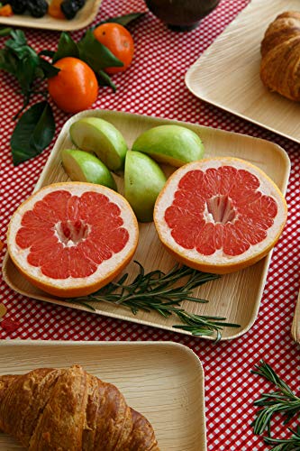 Compostable Plates 9.5 inch square 25pcs Palm Leaf Plates-our Biodegradable Plates Are Top Quality, We Use Eco Friendly Products For Party Plates-alternative to Bamboo Plates -made By KIKI Green