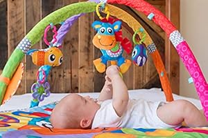 playgro clip clop musical activity gym