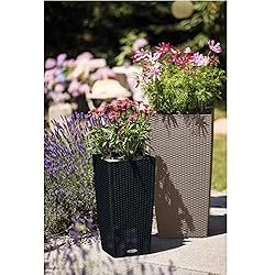 Lechuza Cubico Cottage 30 All-in-One