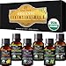 Botanic Hearth Hair Oil 0.3 fl oz