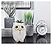 iefoah Owl Girls Piggy Bank Cute Owl Shape Gifts Ceramic Coin Banks White Can Owls Christmas Birthday Gift for Adults Kids Children Baby Home Bedroom Nursery Decorative Oranment