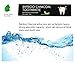 Bamboo Active Charcoal Toothpaste, Highest quality ingredients, Natural Bamboo Charcoal, Enamel-safe, Achieve professional-level teeth whitening (Mint Flavor)