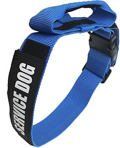 Albcorp Service Dog Collar with Closable Handle and Removable/Reflective SERVICE DOG patch for Safety, Large(19.6 by 28.7) inch,Blue