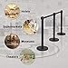 Goplus 6Pcs Stanchion Set W/ 6.5Feet Retractable Belt Posts Queue Pole Crowd Control Barrier (Black)