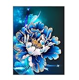 Embroidery，5D Full Drilled Diy Diamond Painting Cross Stitch Square Diamond Embroid (Size 30 26cm-Blue)
