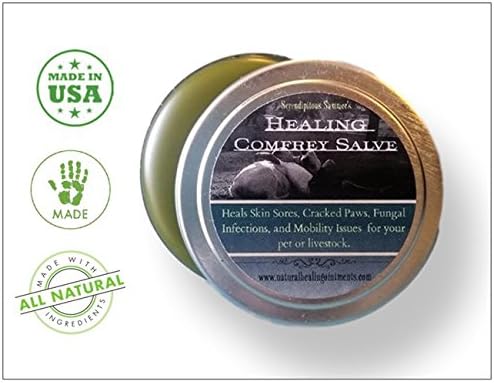SSF Healing Comfrey Salve (1oz Tin) for Wound Care, Skin Conditions, Sore Muscles, & Joint Pain