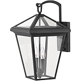 Hinkley Alford Place Medium Outdoor LED Wall Mount Lantern, Die Cast Aluminum Frame, Sealed Clear Glass, Dimmable, Museum Bla