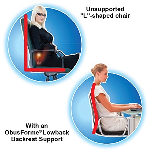 image for ObusCombo Obus Forme Combo Ergonomic Orthopedic Low Back Backrest And 