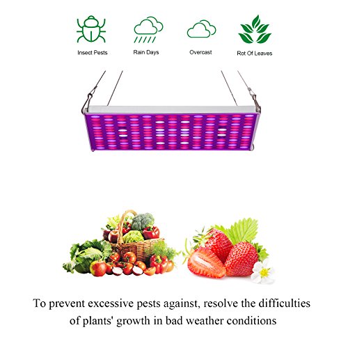 45W Led Grow Lights, Lightimetunnel Upgraded Plant Grow Light Full Spectrum for Indoor Plants Seedling Growing and Flowering …