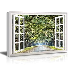 Modern White Window Looking Out Into a Road with a Tunel of Trees - Canvas Art Home Art - 24x36 inches