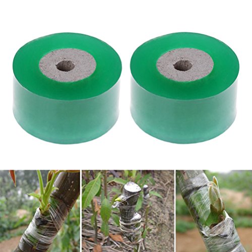 2 Rolls Garden Grafted membrane Repair Tool Grafting Tape Stretchable Self-adhesive For Garden Tree Seedling 1.2inch Width Color Green By DINGJIN