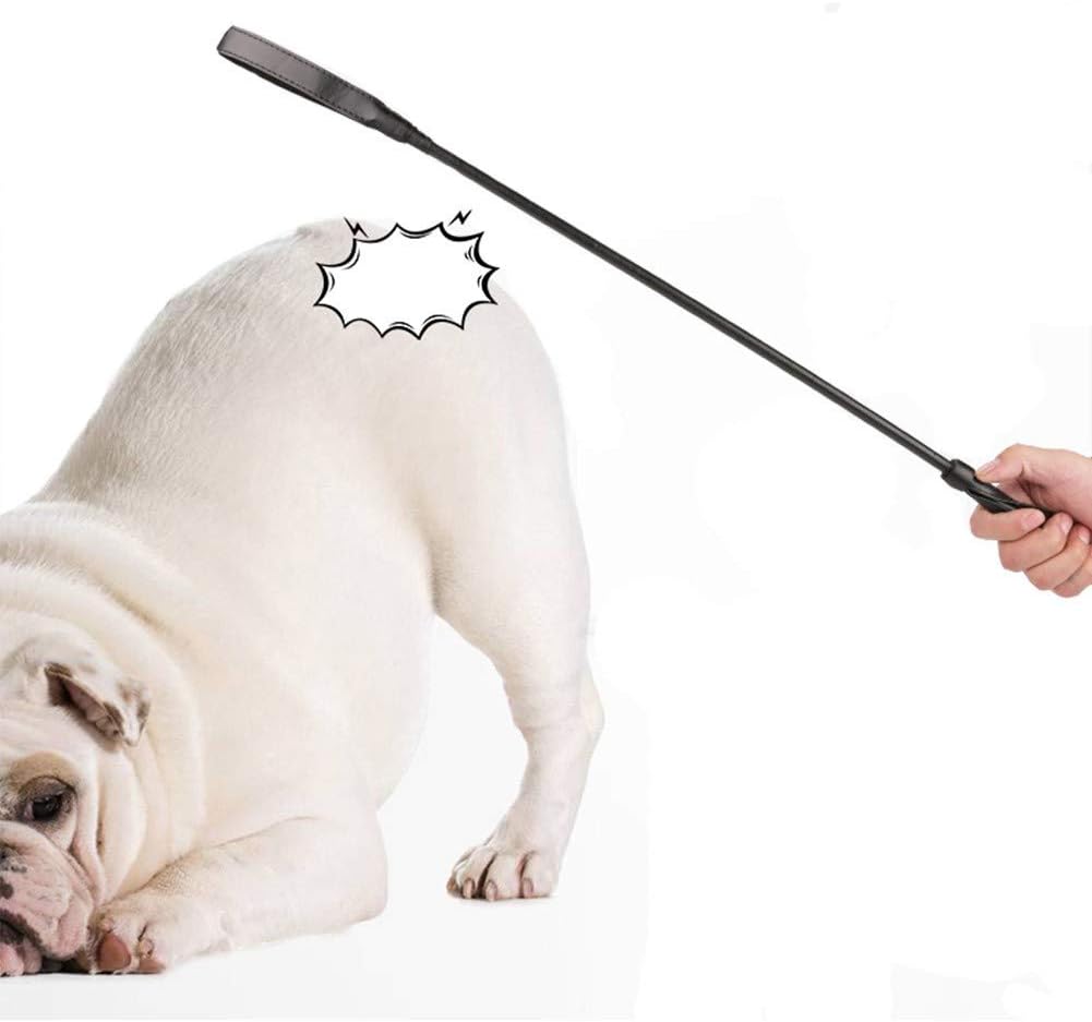 Etophigh Pet Training Whips, Pet Dogs Cats Behavior Management Rope Training Tool Pet Training Stick Horse Riding Whip
