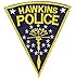 Hawkins Police Department Stranger Things Tactical Morale Hook Side Patch
