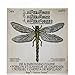 Sizzix Bigz Die with A2 Texture Fades Folder by Tim Holtz, Layered Dragonfly