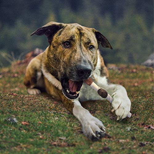 CADET GOURMET SHISH KABOB DOG TREATS FOR LARGE DOGS, HEALTHY & NATURAL CHICKEN & SWEET POTATO CHEW STICKS, BEEF HIDE, EXTRA LARGE 10 INCH, 4 COUNT (PACK OF 1)