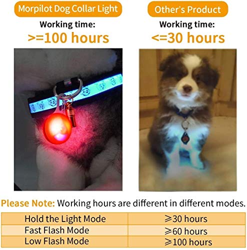 night time dog collars