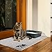 Smiling Paws Pets - Extra Large Cat Litter Mat - Pet Rug - Catches Litter That Spills Outside Litter Box - Easy to Clean - Non-Slip - Litter Box Mat - Kitty Litter Catcher - Grey L Size (35