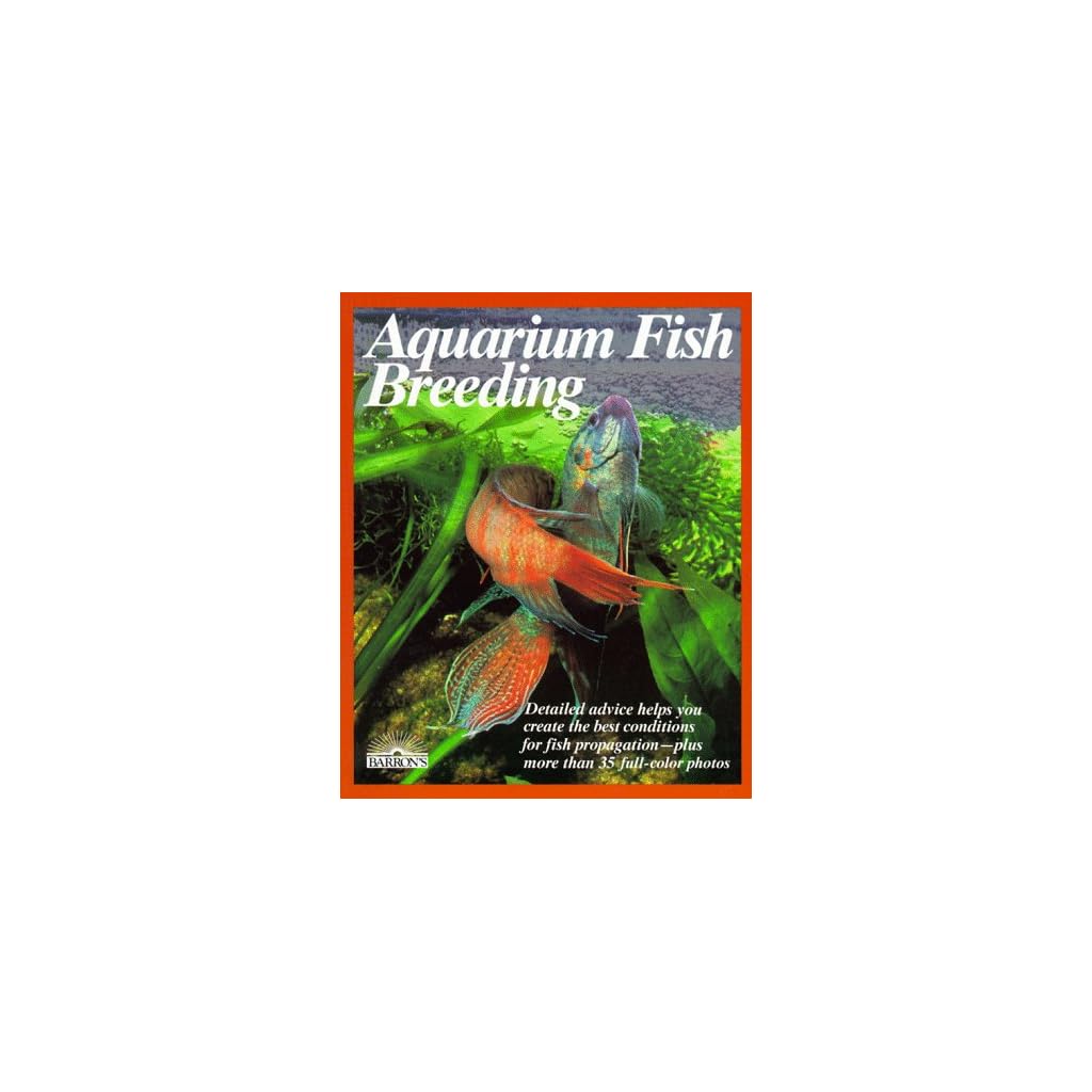 Aquarium Fish Breeding Elite Aquariums