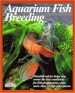 aquarium fish breeding