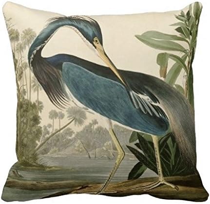 Louisiana Heron by John James Audubon Throw Pillow Case 20 x 20In
