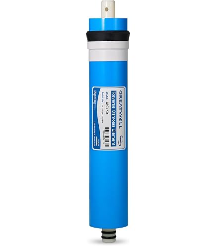 Amazon.com: iSpring FD15 DeIonization Replacement Filter Fit RO/DI