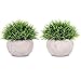 Lvydec 2 Pack Artificial Potted Plants, Mini-Sized Fake Topiary Plants in Pots for Bathroom Office Desk Shelf Kitchen Decoration