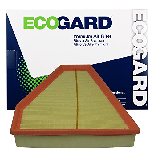 ECOGARD XA5796 Premium Engine Air Filter | Fits 2007-2013 BMW 328i 3.0L; 2009-2013 328i xDrive 3.0L; 2008-2011 323i 2.5L at Amazon