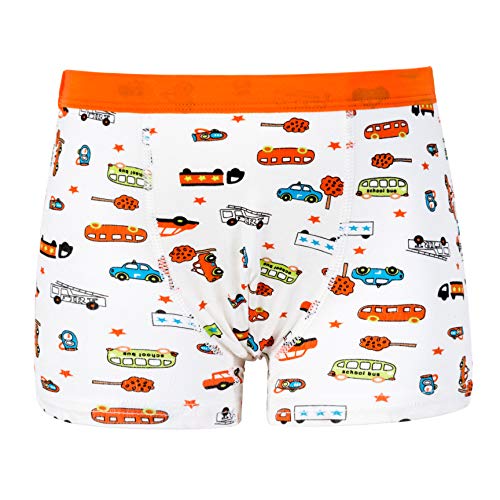 CC&La Dame Underwear Brief Boys Boxer Briefs 5Pack Underwear Boxers