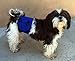 Belly Band for Male Dog Training and Incontinence (Blue Paw Print) (Small: 14
