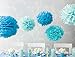 Fecedy™ 18pcs Tissue Paper Pom Poms Flower Ball for Wedding,Festival,Party Decoration (Blue)