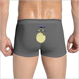 Amazon Com My Neighbor Totoro Anime Boxers Padded Panties Underwear Mens Cotton Underwear 6310503011972 Books