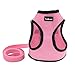 Small Dog Harness Leash Set - SCENEREAL Best Adjustable Soft Mesh Cute Reflective Cat Vest Harness for Kittens Puppy Pets, Pink Small