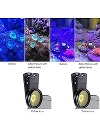 Aquarium Choice Coral Lens