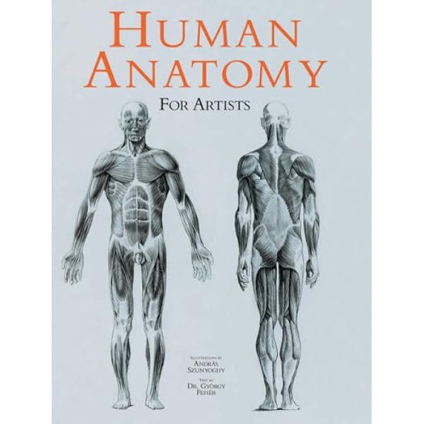 Human Anatomy for Artists: Fehér, Gyorgy: 9783833120459: Amazon
