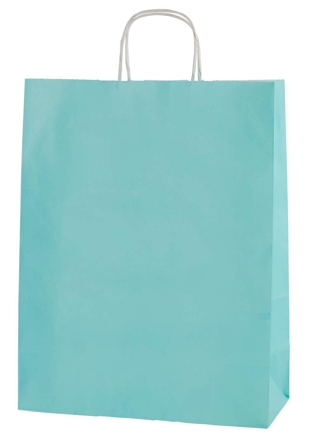 Thepaperbagstore 25 Light Blue Paper Bags with Handles - 25x11x31cm - Colourful Paper Gift Bags for Adults and Kids - for Shopping, Party, Retail, Birthdays and Weddings