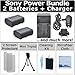 Power Bundle by eCost: 2 NP-FH50 Batteries + AC/DC Turbo Charger with Travel Adapter + Complete Deluxe Starter Kit for Sony DSC-HX200V/ HDR-XR260V A230 A330 A380 Alpha DSLR DSC-HX1 DSC-HX100V DSC-HX200V HDR-TG5V AC-VQH10 DCR-DVD103 DCR-DVD105 DCR-DVD108 DCR-DVD203 DCR-DVD205 DCR-DVD305 DCR-DVD308 DCR-DVD403 DCR-DVD405 DCR-DVD408 DCR-DVD505 DCR-DVD508 DCR-DVD92 DCR-HC20 DCR-HC21 DCR-HC26 DCR-HC28 DCR-HC30 DCR-HC32 DCR-HC36 DCR-HC38 DCR-HC40 DCR-HC42 DCR-HC46 DCR-HC48 DCR-HC65 DCR-HC85 DCR-HC96 DCR-SR100 DCR-SR200 DCR-SR300 DCR-SR40 DCR-SR42 DCR-SR60 DCR- SR62 DCR-SR80 DCR-SR82 HDR-HC3 HDR-HC5 HDR-HC7 HDR-UX5 HDR-UX7 Handycam Camera.